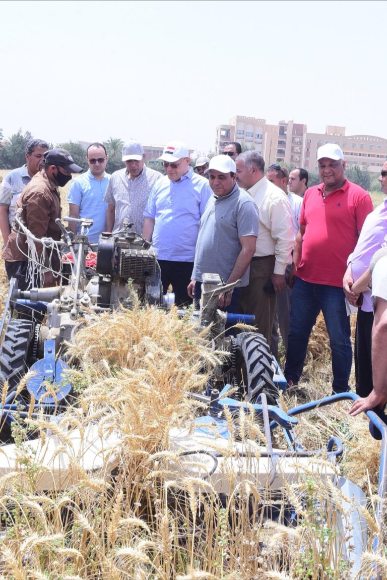 علي مساحة ٢٢ فدان .. النعماني يشهد بدء موسم حصاد تقاوي القمح بمزرعة جامعة سوهاج